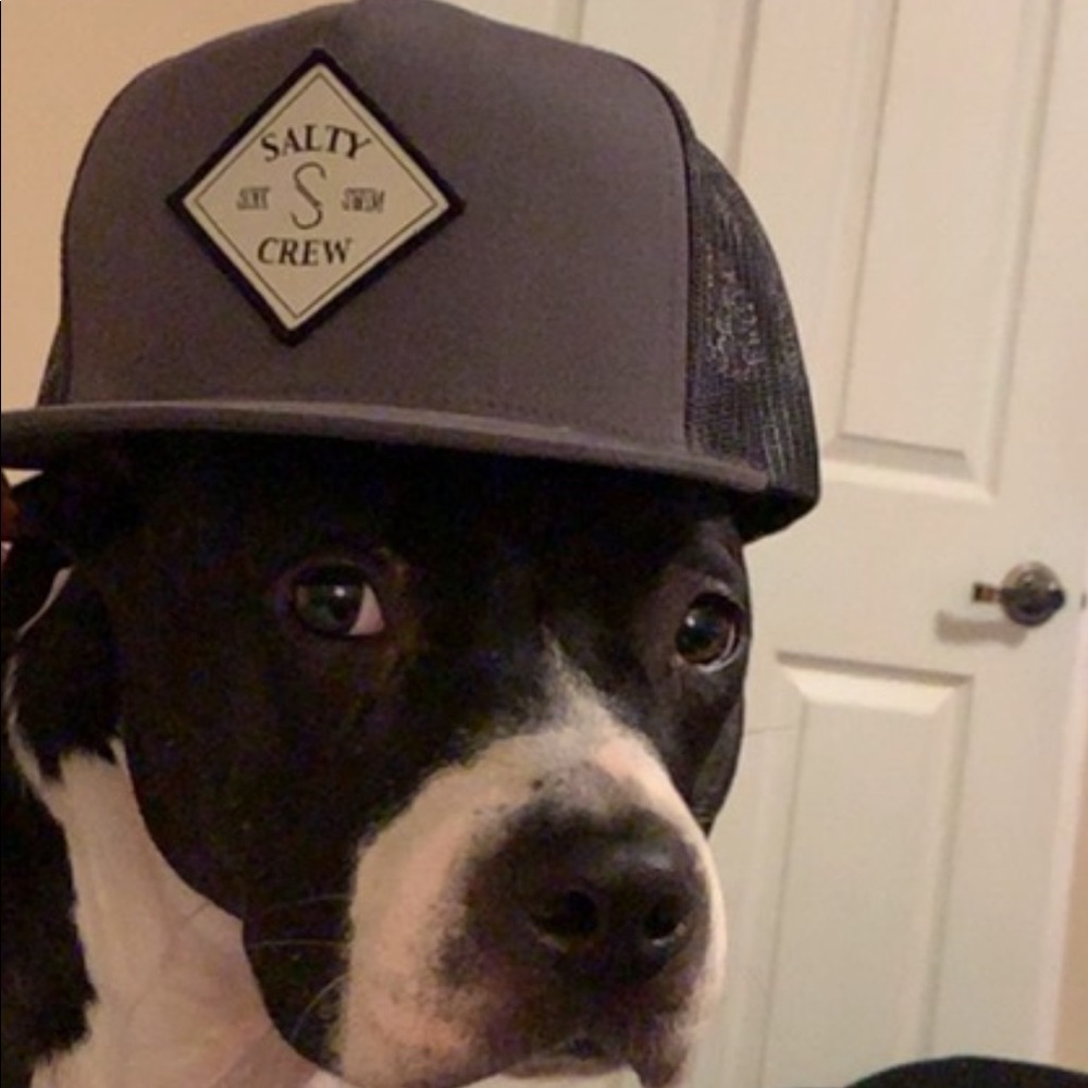 Meet your Posher, Andy